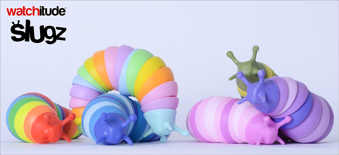 Slug Fidget Toy