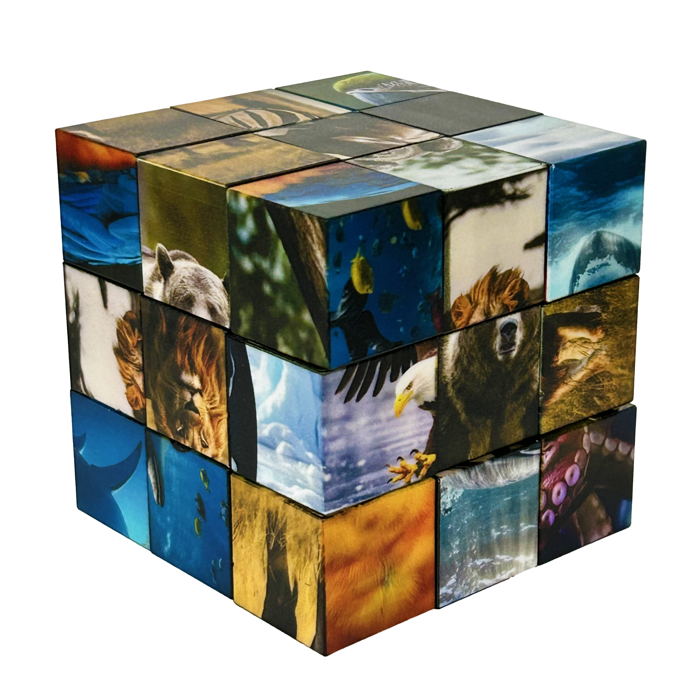 Click Blocks - Magnetic 27 pc Animals Puzzle